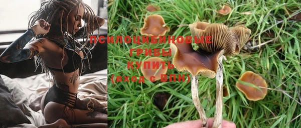 амф Белоозёрский